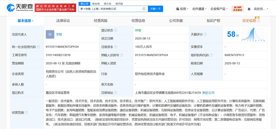 人工智能软件与系统集成 赋能企业数字化转型的驱动力